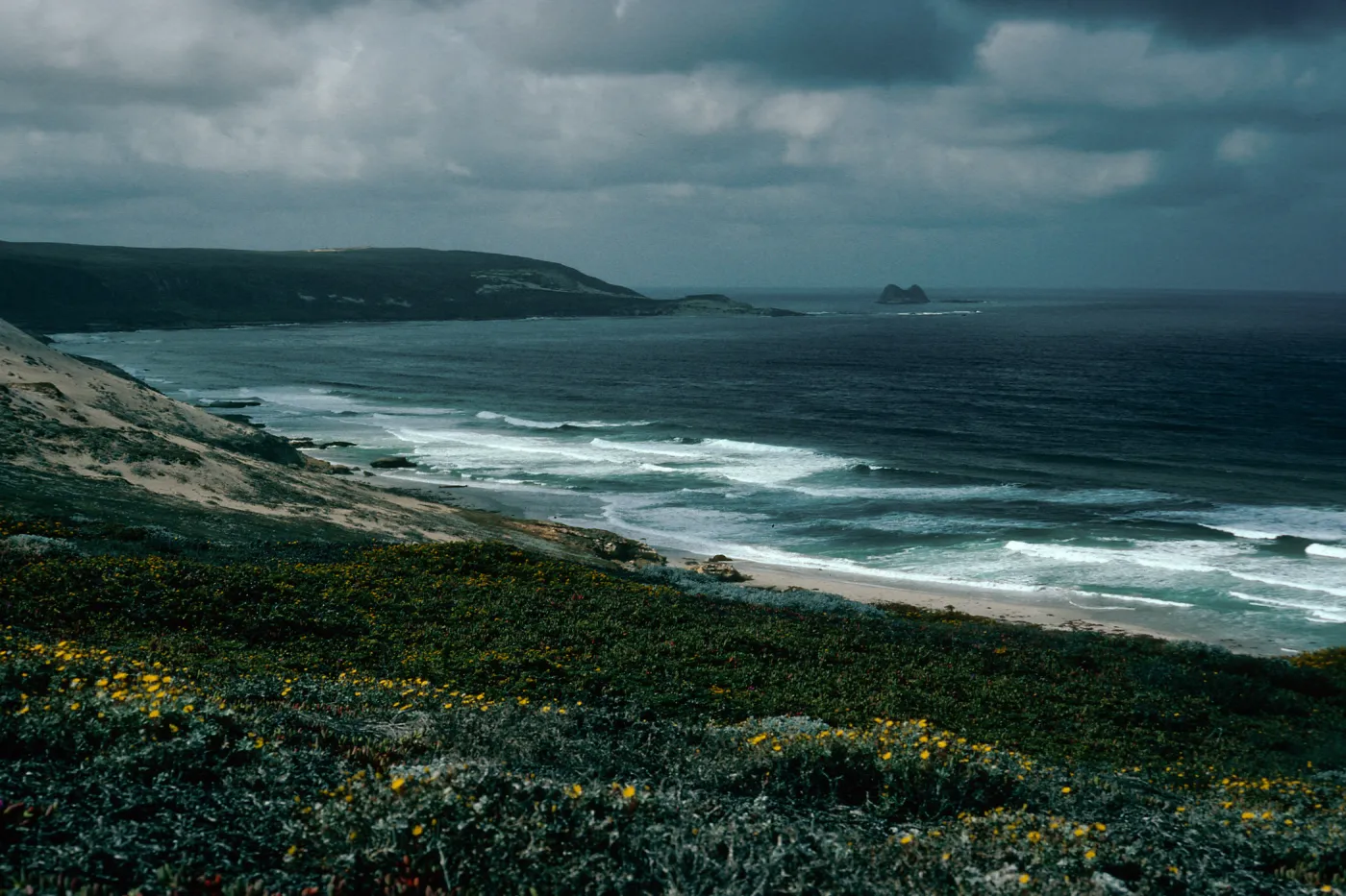 looking West, Harris Point Peninsula, San Miguel Island