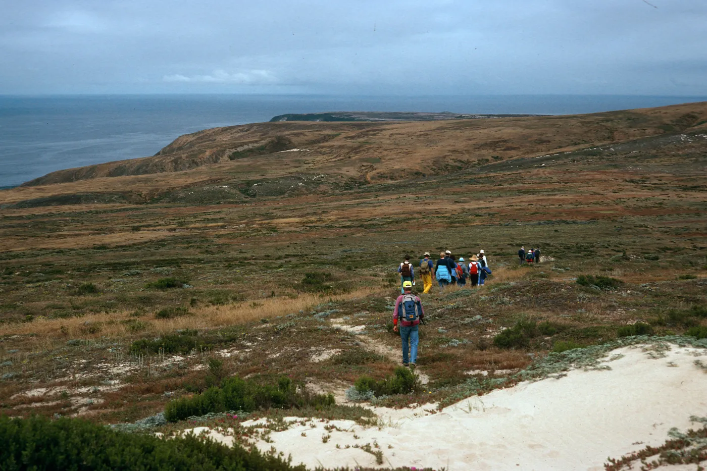 trail, West of San Miguel Peak, San Miguel Island