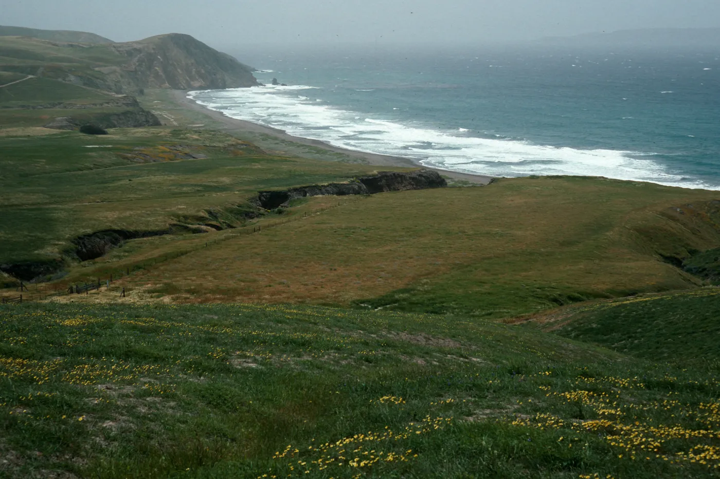 Christy Beach, Santa Cruz Island
