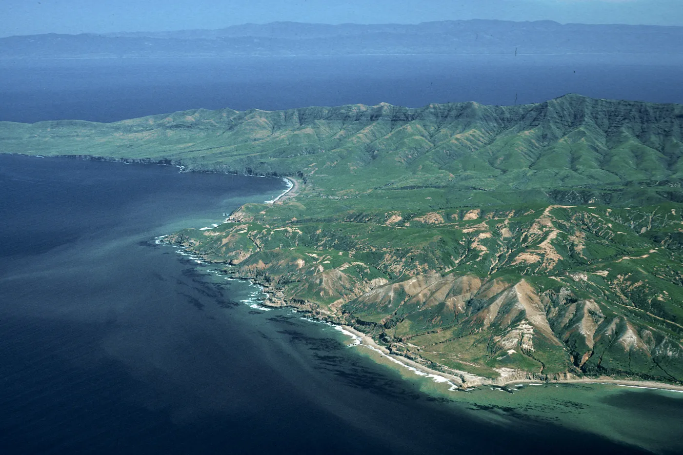 Southwest side, 4500 feet, Santa Cruz Island