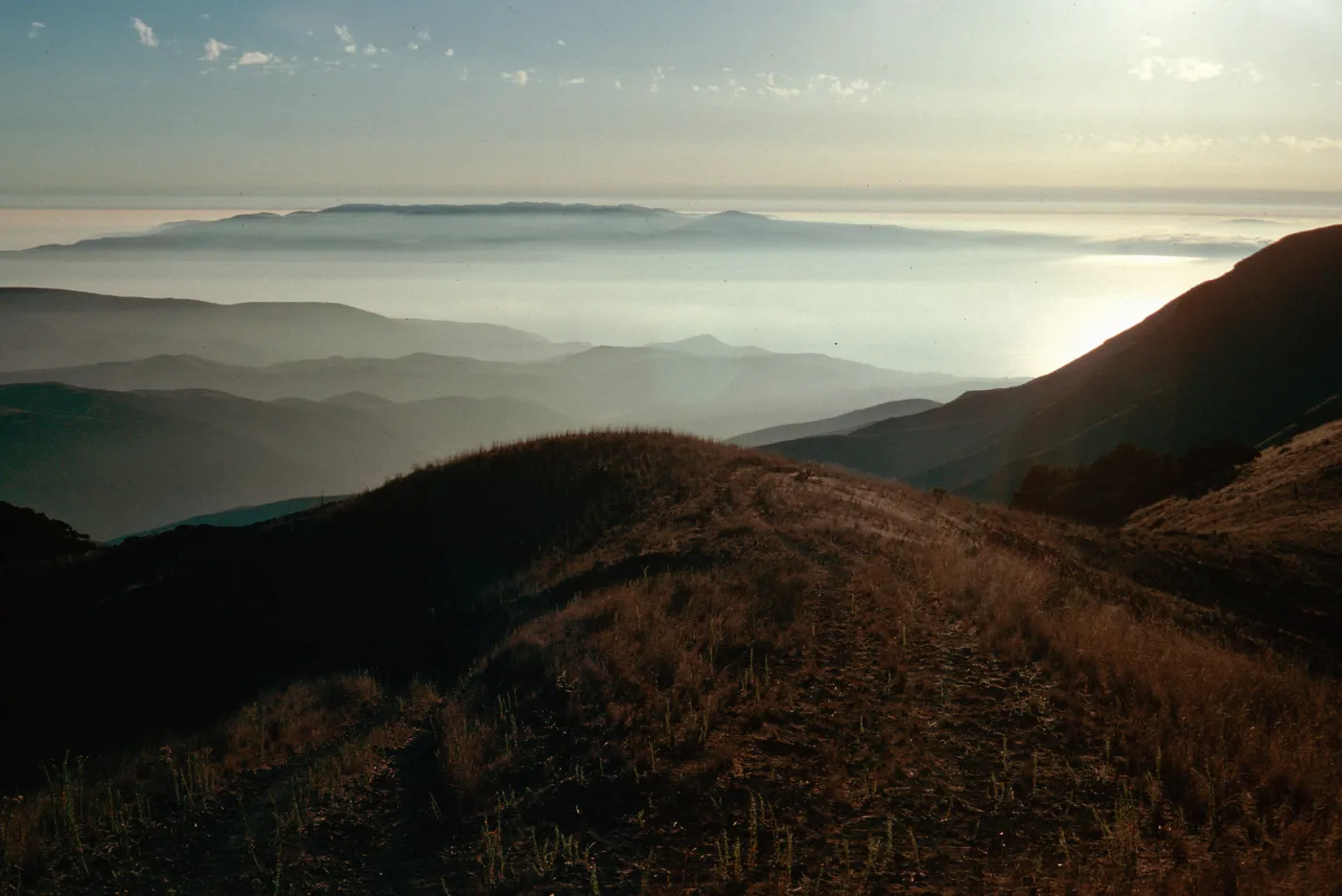 looking West, near Lagunitas Secas, Santa Cruz Island
