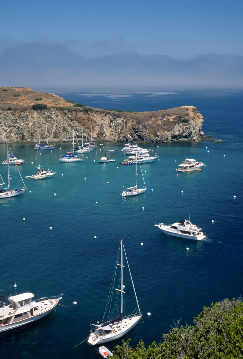 Cherry Cove, Catalina Island