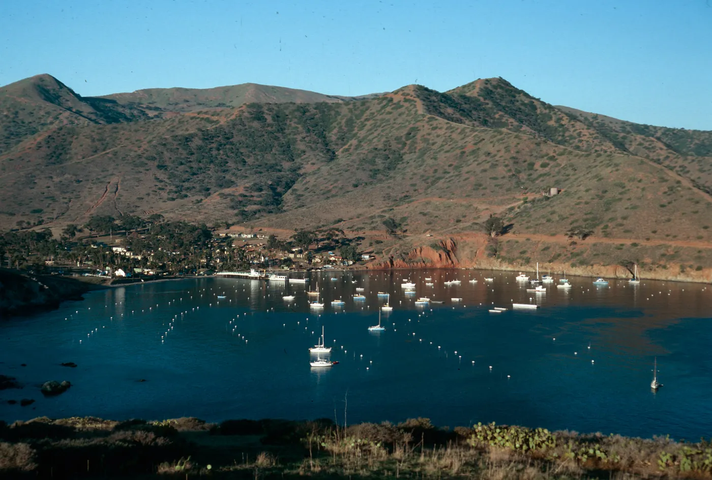 Isthmus Cove, Catalina Island