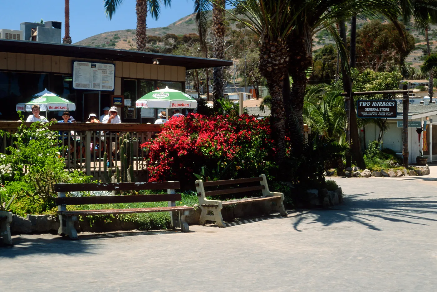 restaurant at Two Harbors, Catalina Island
