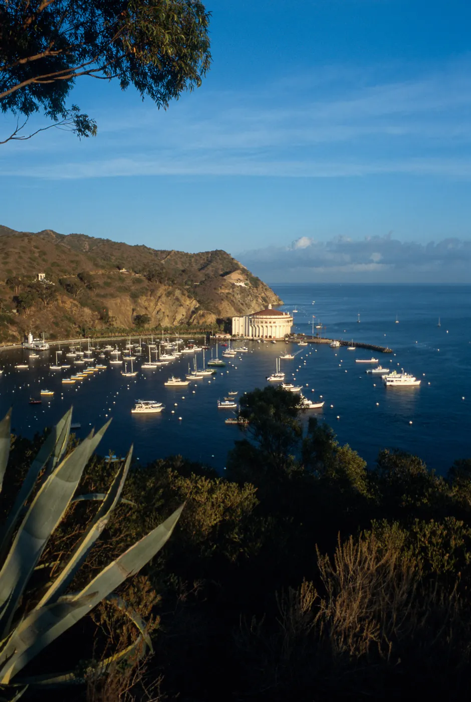 Avalon, Catalina Island