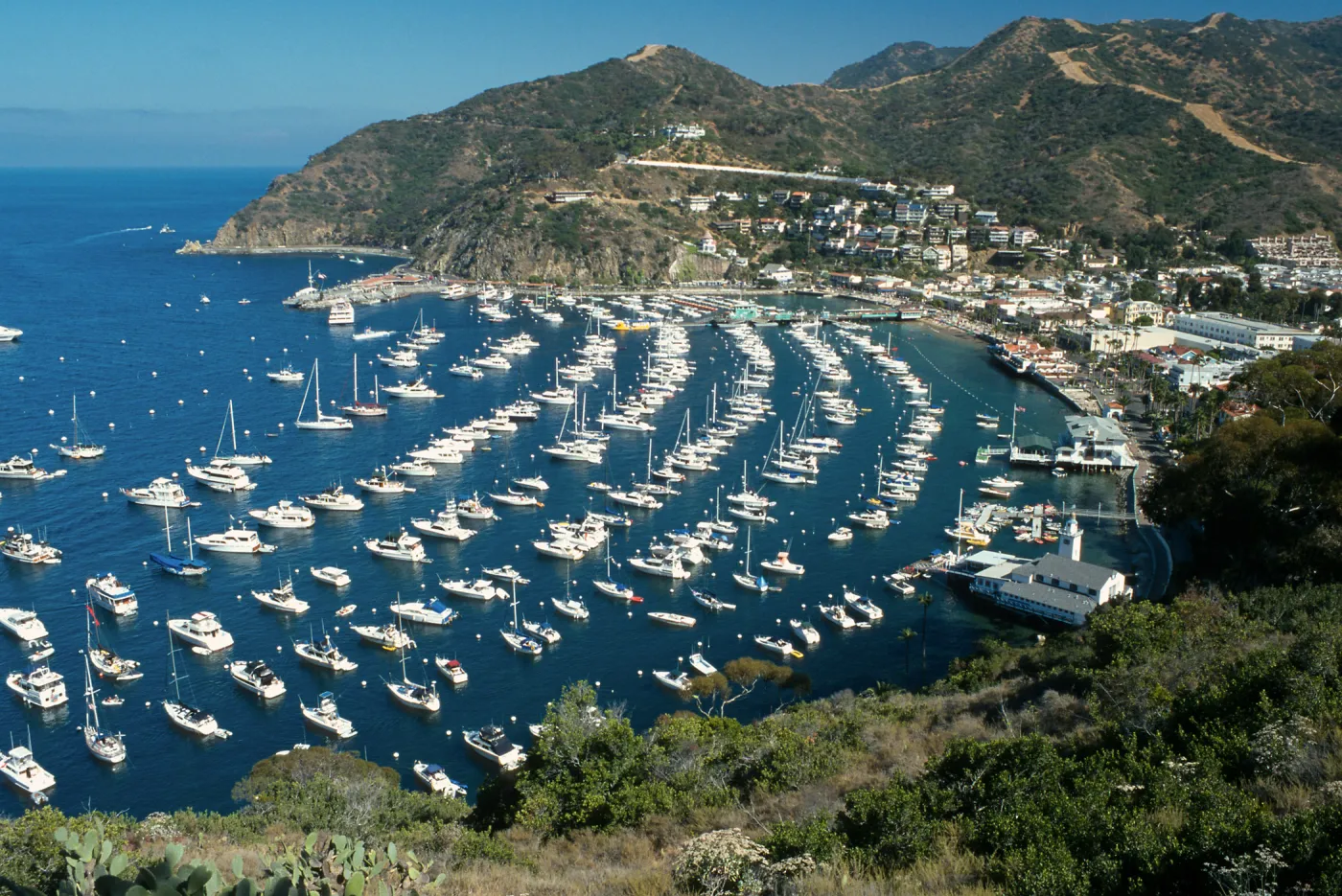 Avalon Bay, Catalina Island