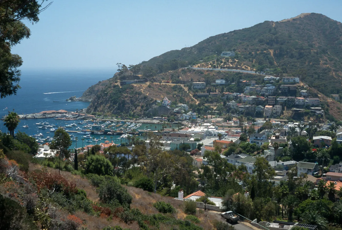 Avalon Bay, Catalina Island