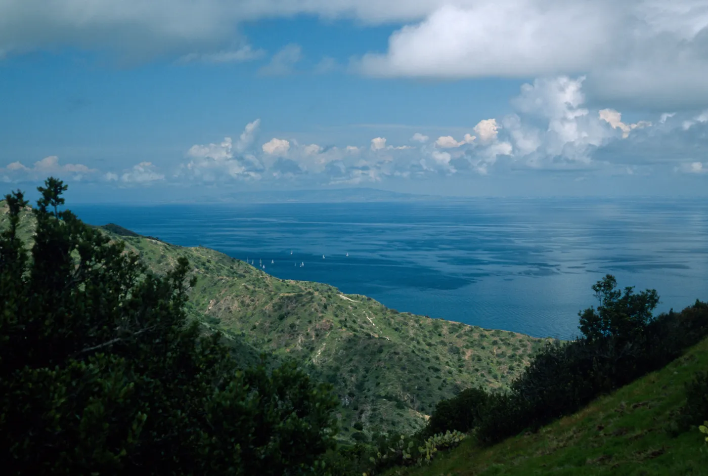 view of mainland, from Toyon Canyon, San Miguel Island