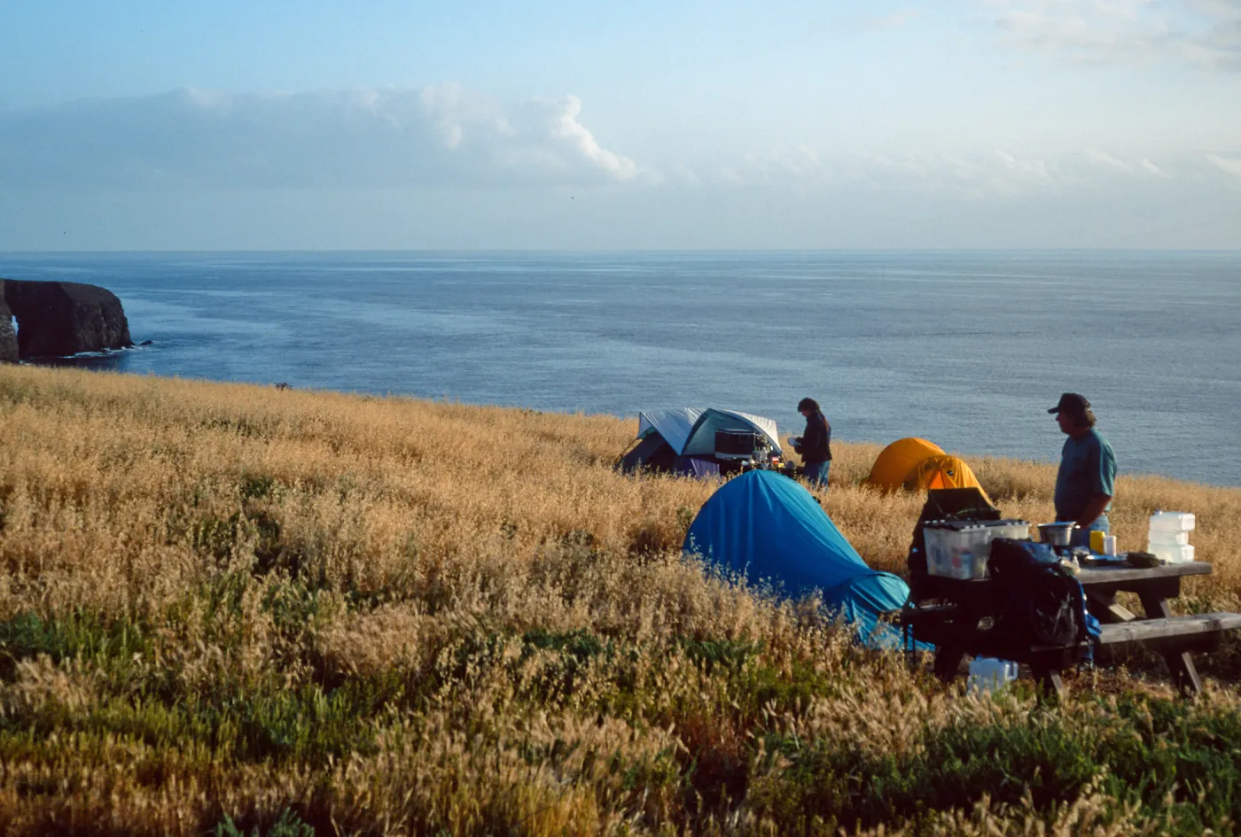 campground, Santa Barbara Island