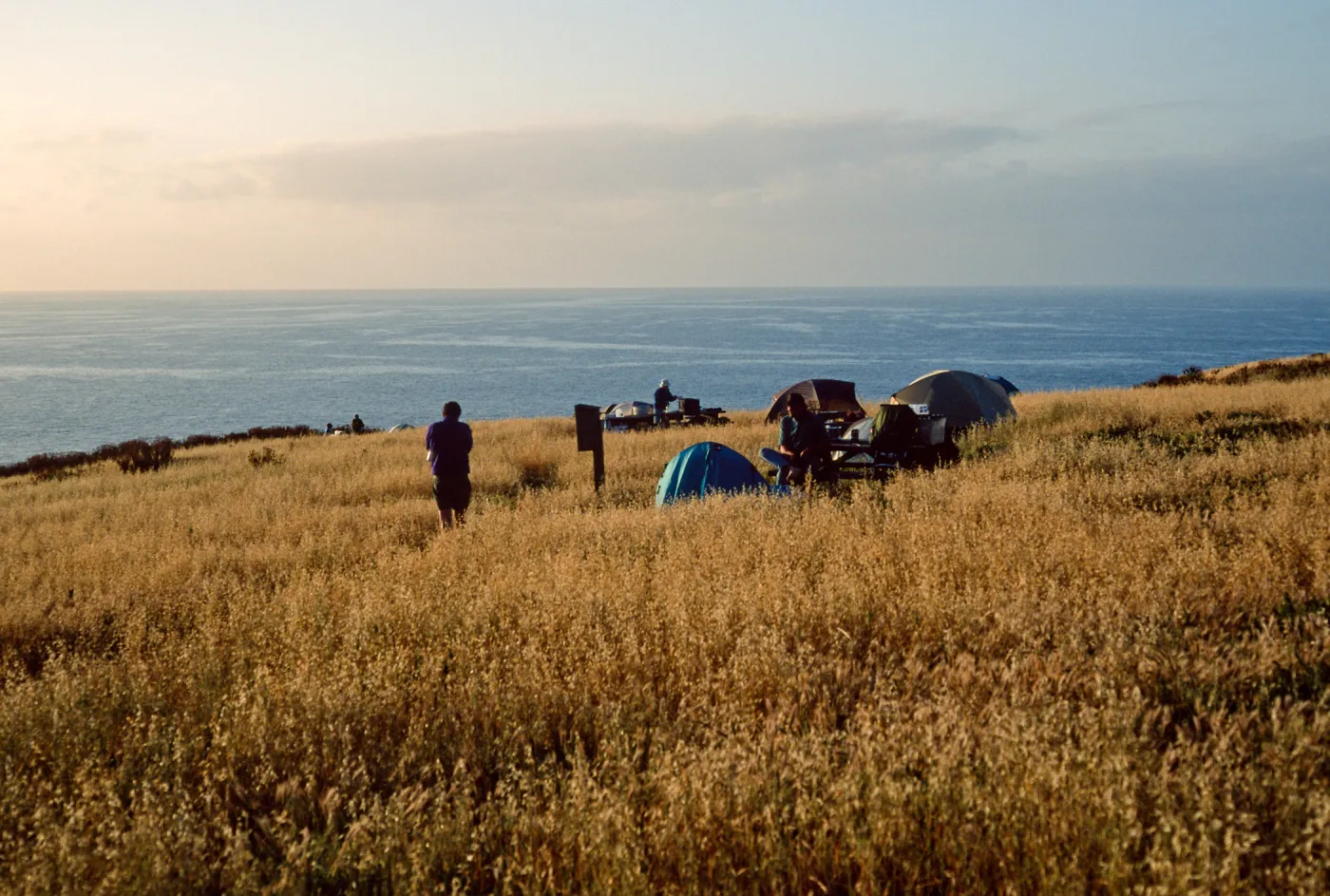 campground, Santa Barbara Island