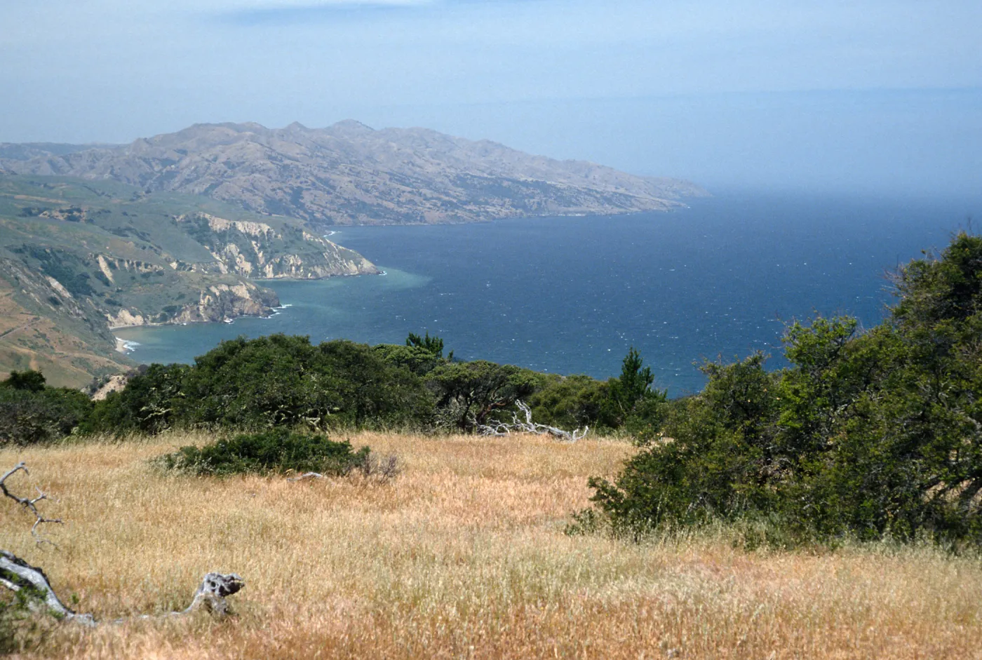 looking West from China Pines, Santa Cruz Island
