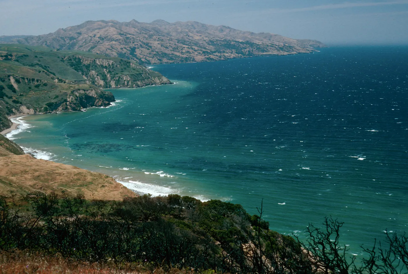 looking West from China Pines, Santa Cruz Island