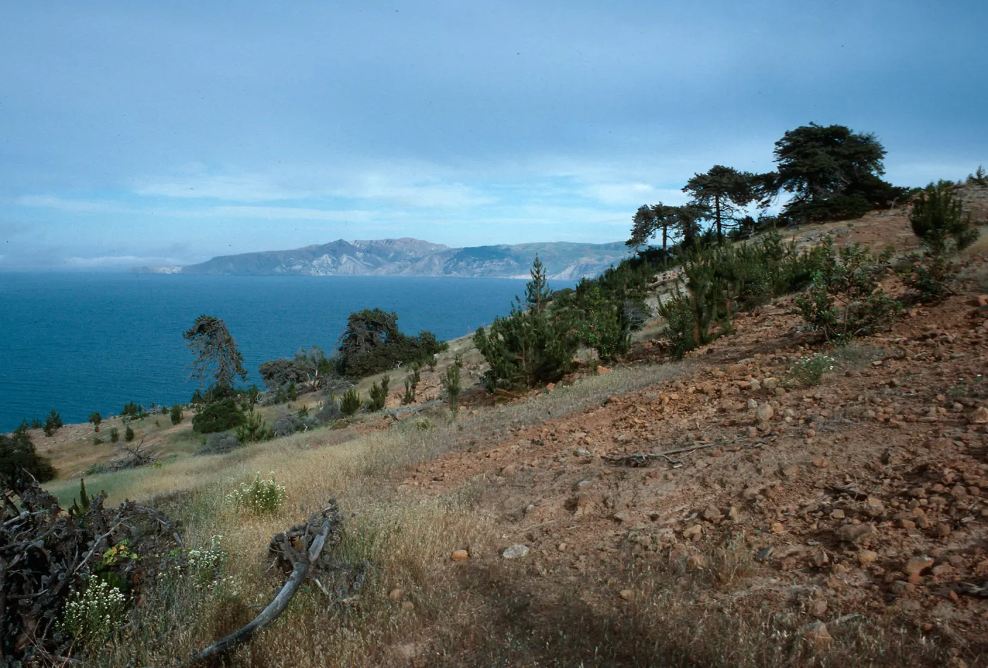 West of Pelican Bay, Santa Cruz Island