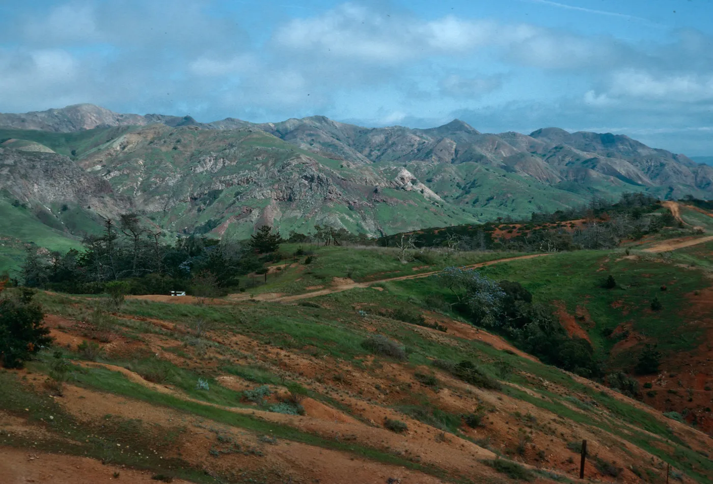 South Ridge Road at Centinela Connector Road, Santa Cruz Island