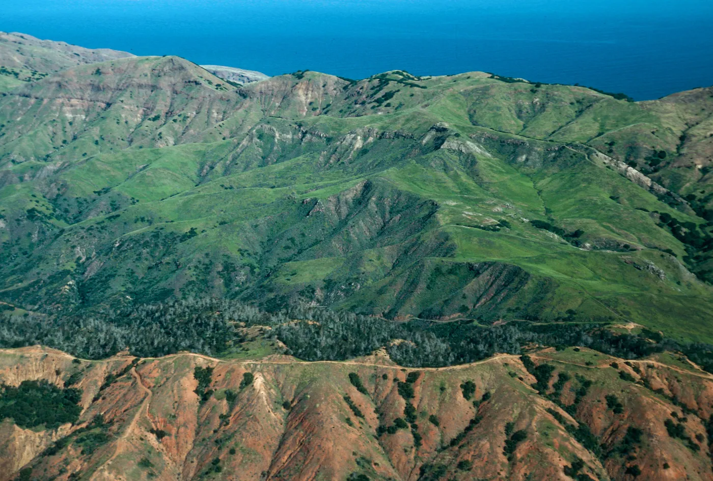Christy Pines & vicinity, Santa Cruz Island