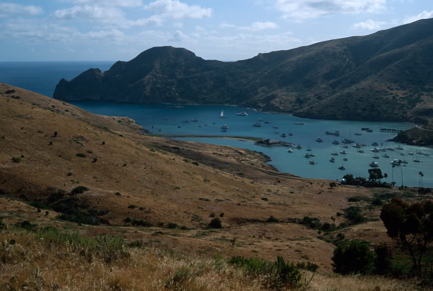 Catalina Harbor, Santa Catalina Island