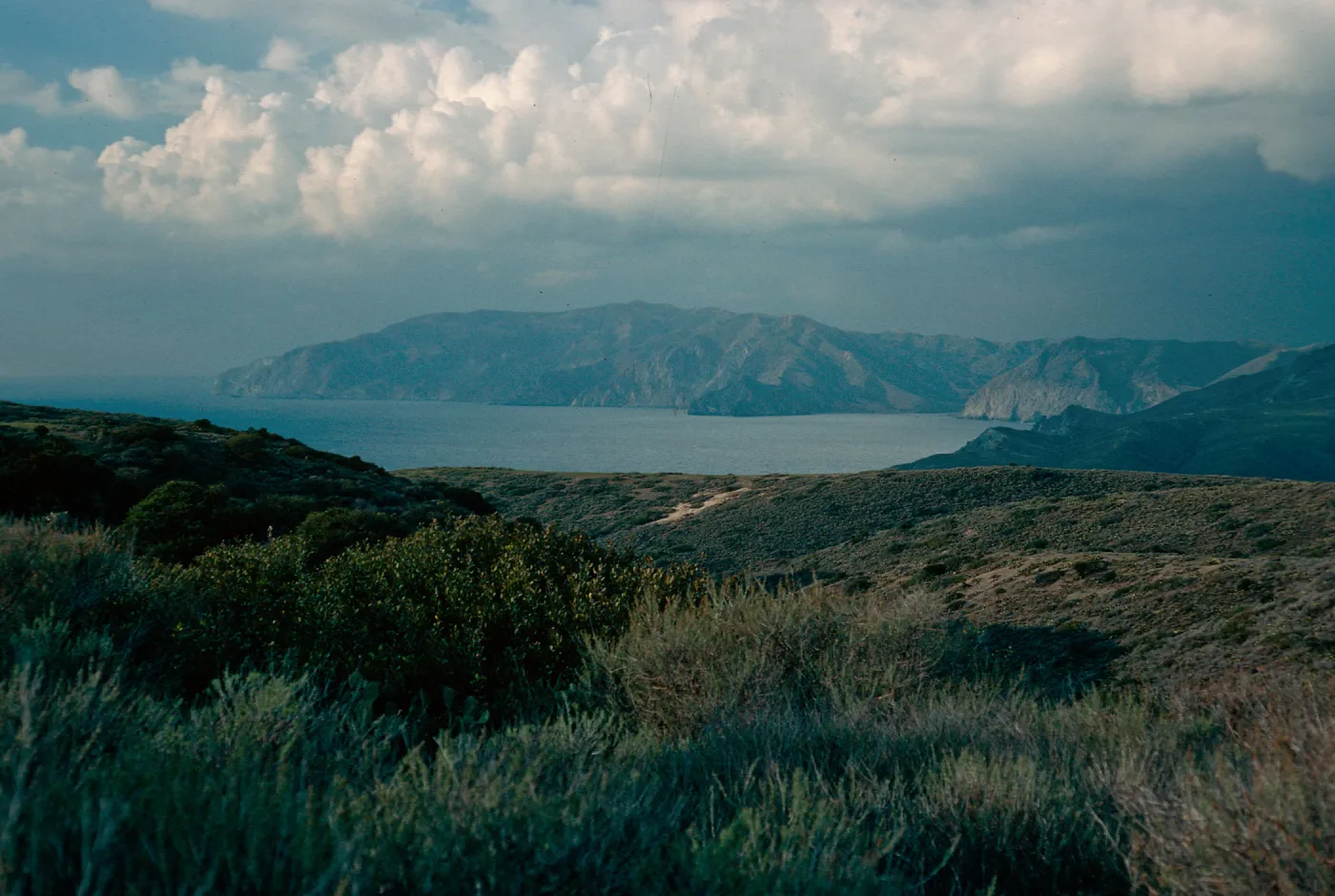 near Rancho Escondido, Santa Catalina Island