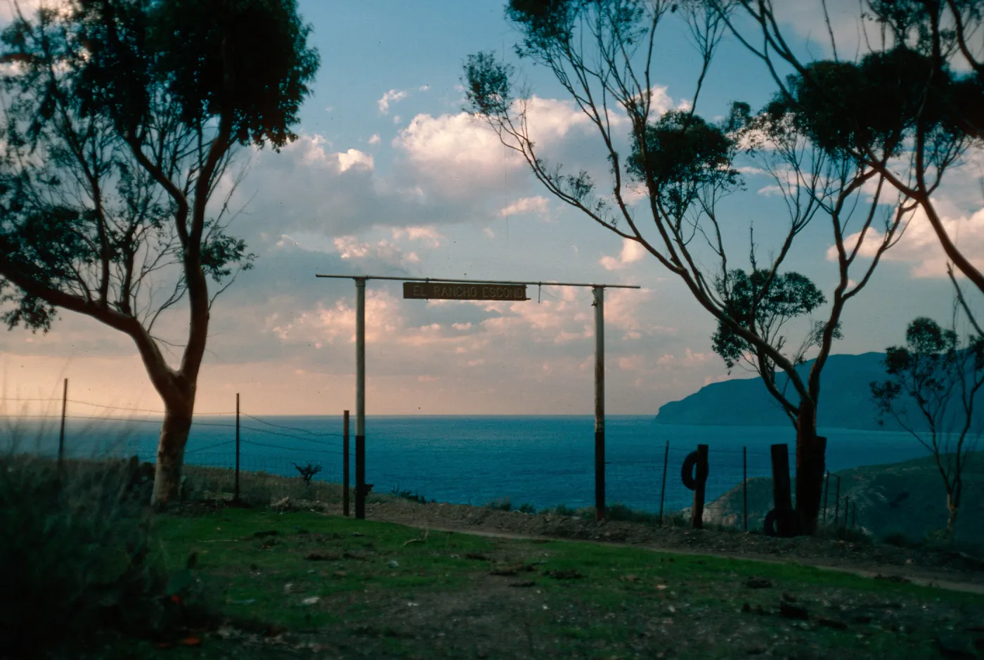 Rancho Escondido (just past it on way to Little Harbor), Santa Catalina Island