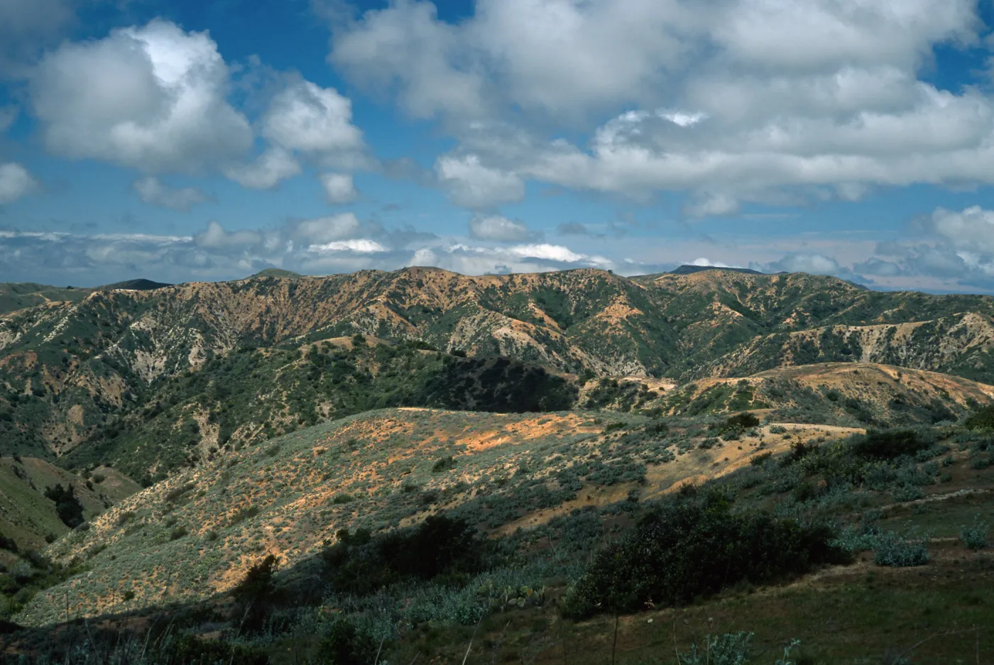 Orizaba Peak (in center) from road to Lone Tree Point, Santa Catalina Island