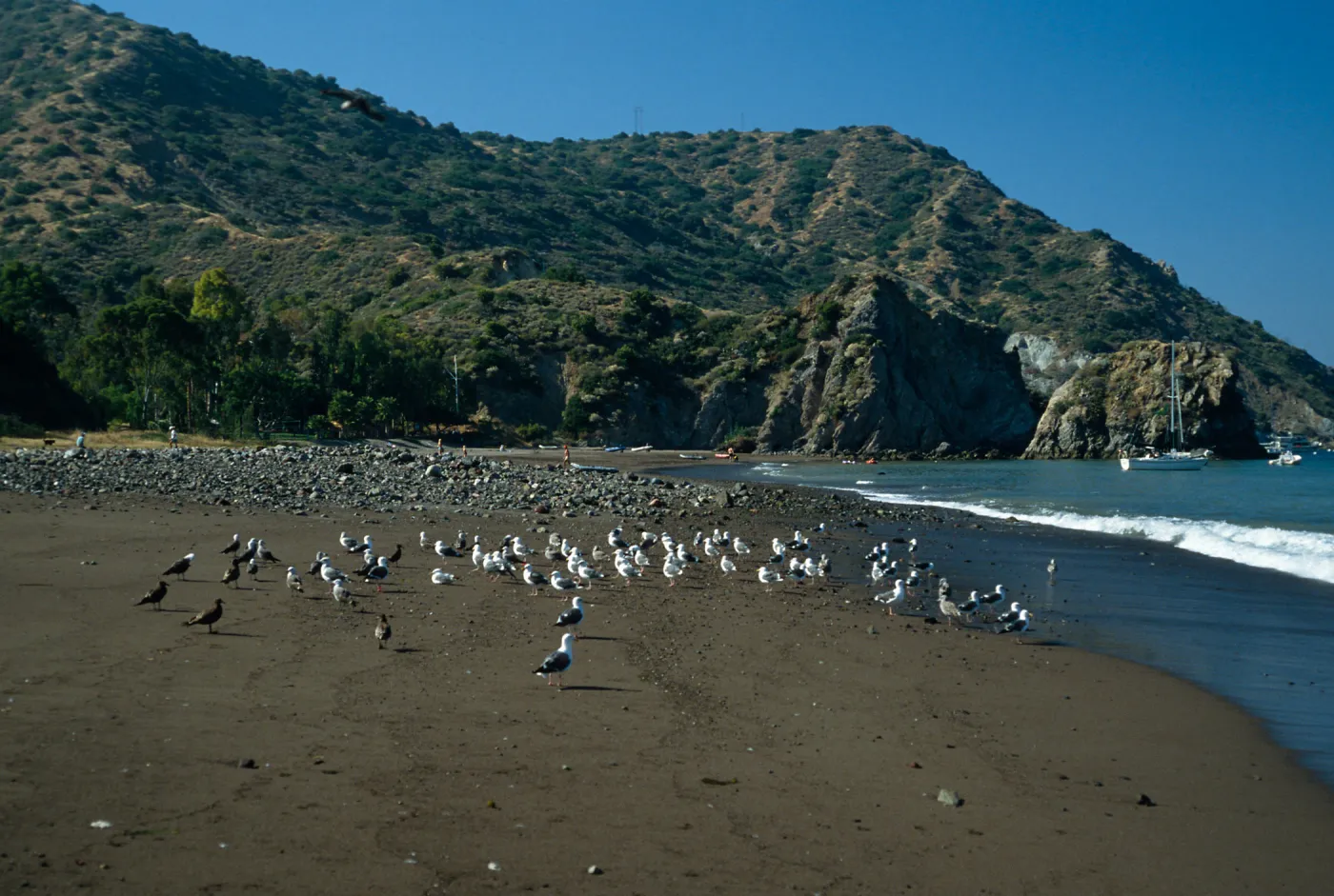 Whites Landing, Santa Catalina Island