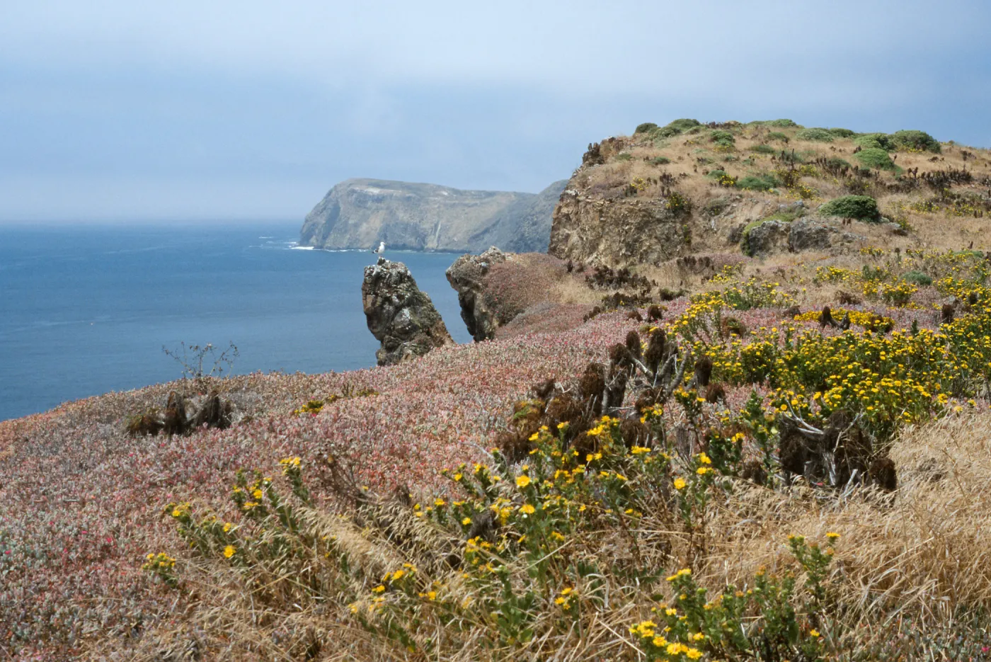 South side, looking West, East Anacapa Island