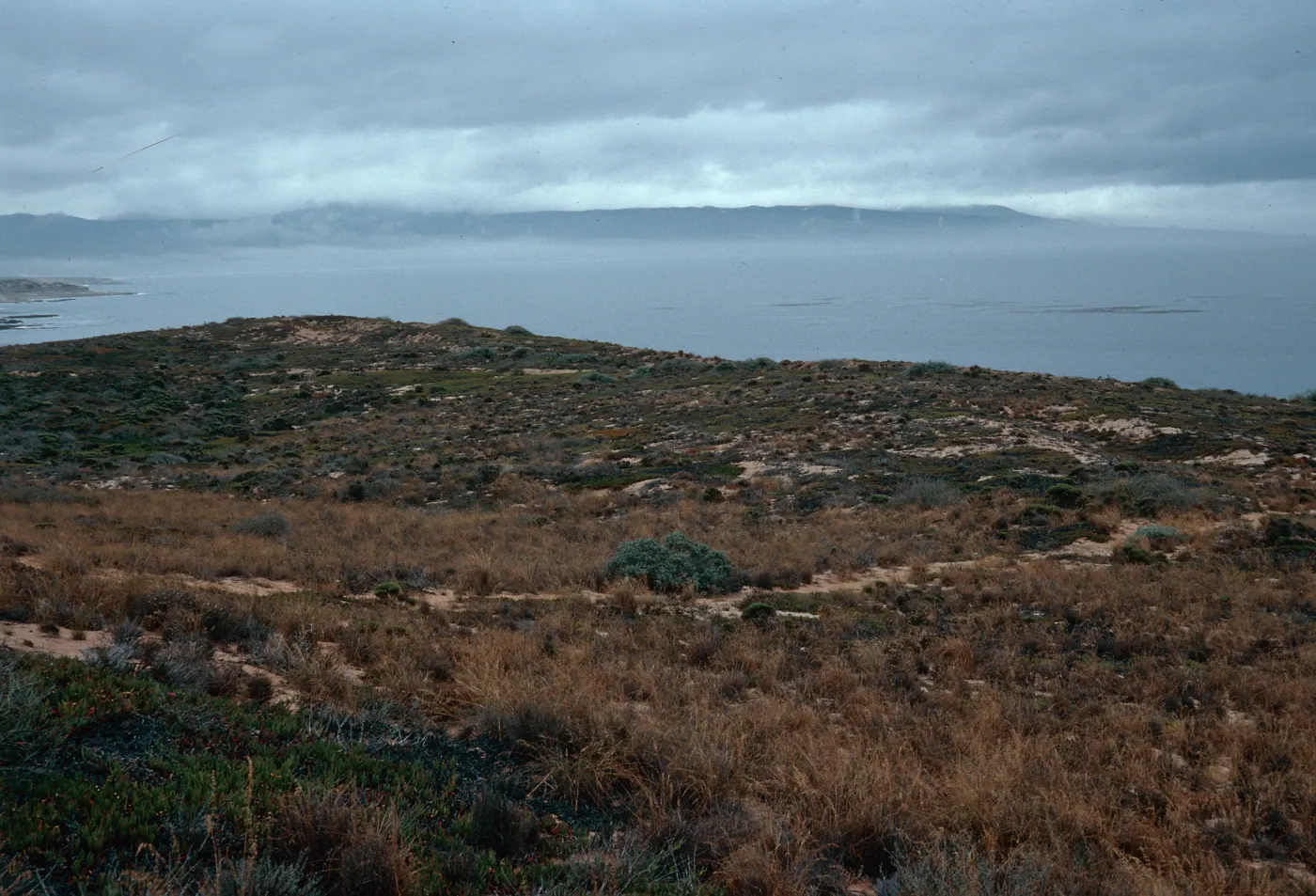 dunes at end of Spur Road, Vandenberg AFB