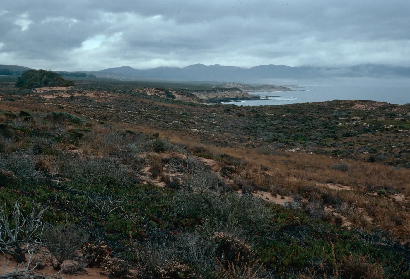 dunes at end of Spur Road, Vandenberg AFB