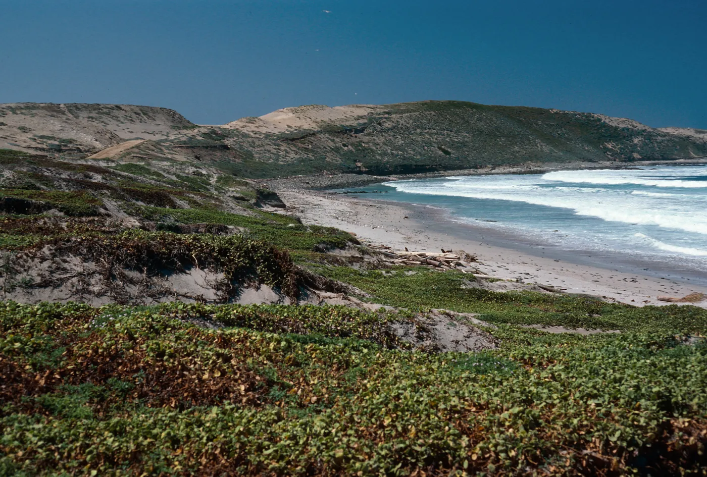 Red Eye Beach, San Nicolas Island