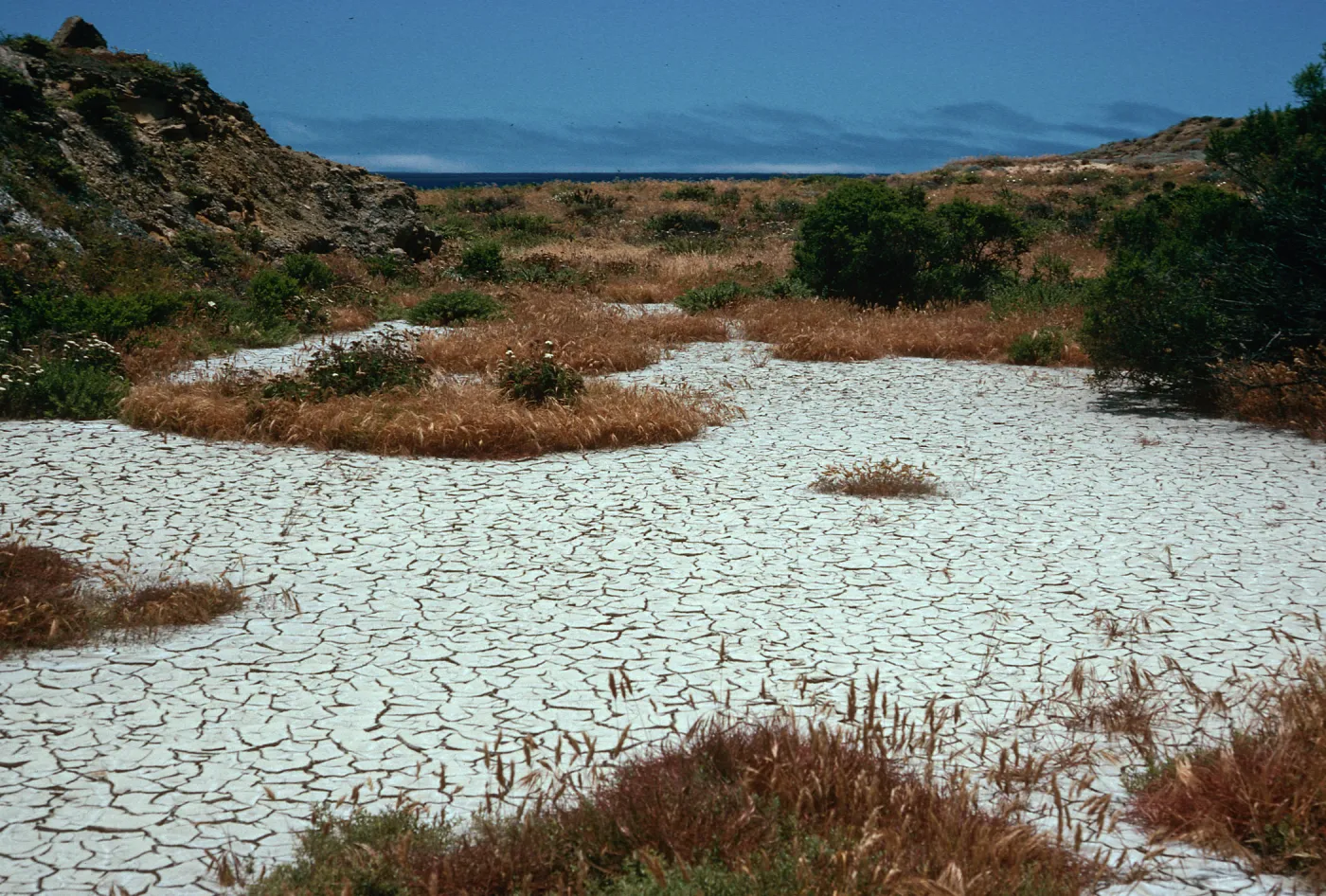 clay flats, lower Cattail Canyon, San Nicolas Island