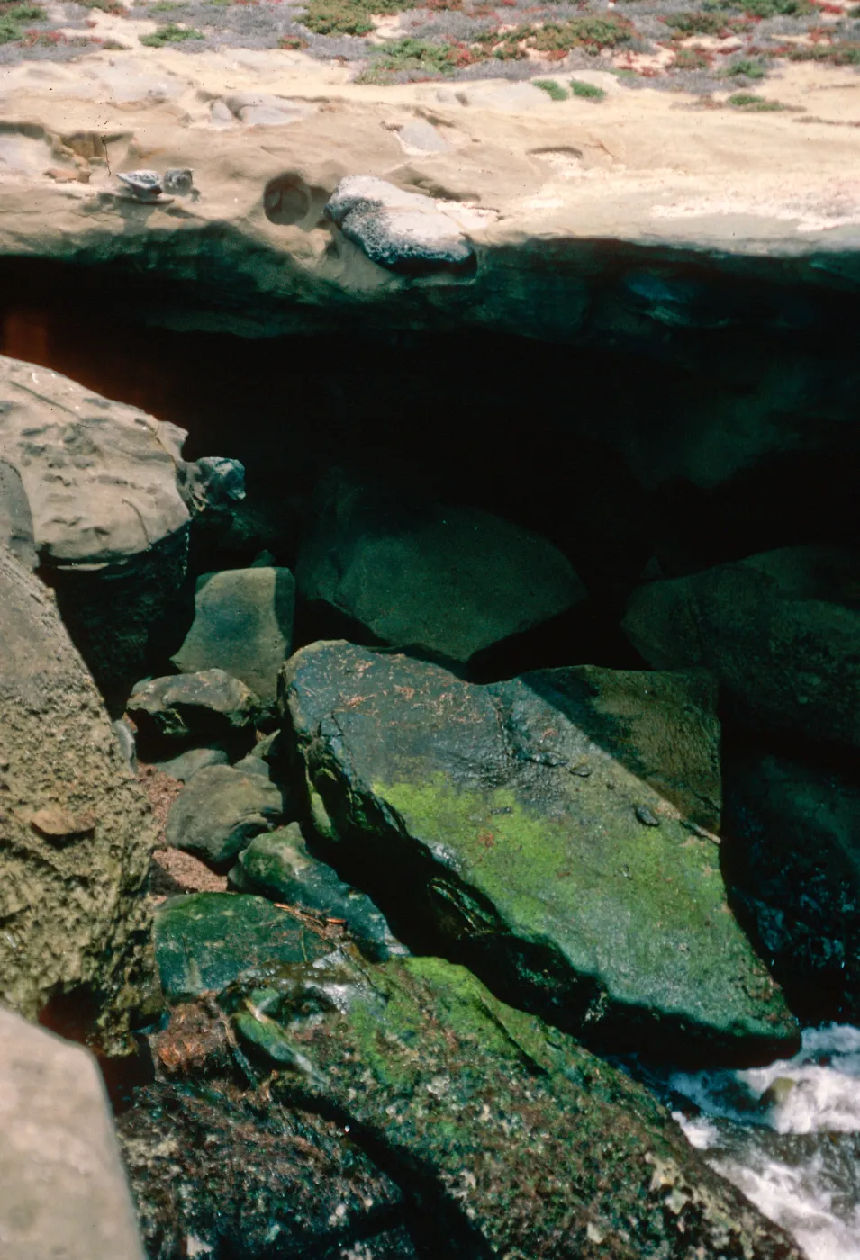 Killerwhale Cave entrance, San Nicolas Island