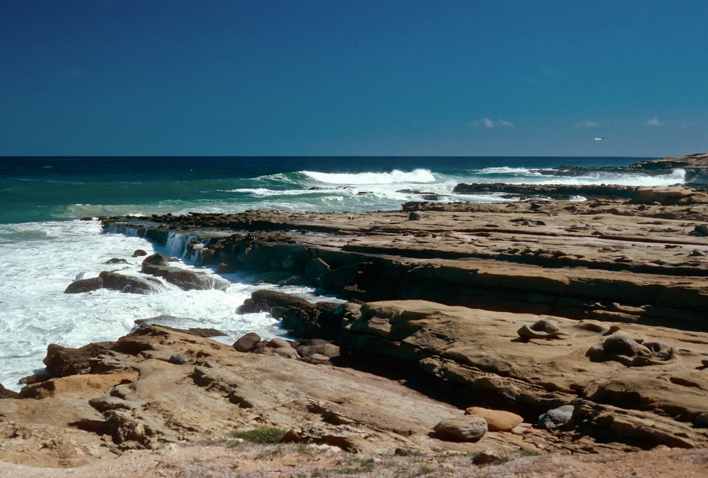 Red Eye Beach, East end, San Nicolas Island