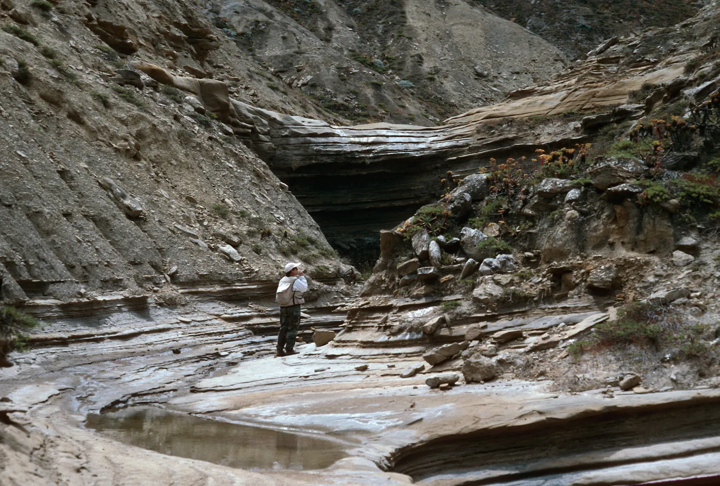Jennifer Stone, Celery Canyon, San Nicolas Island