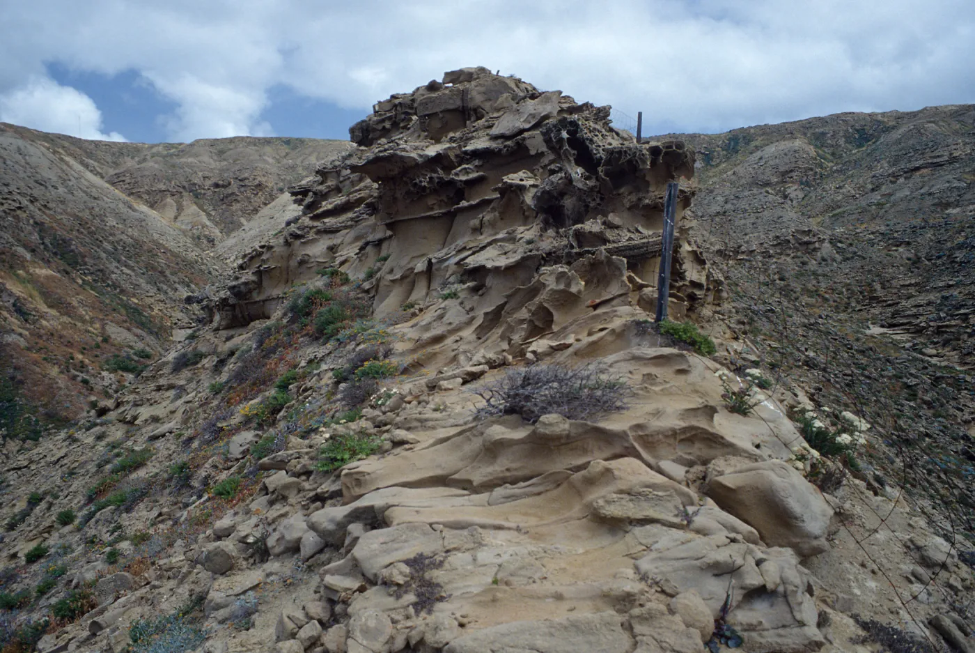 ridge between 1st & 2nd canyons, West of South range marker poles, San Nicolas Island