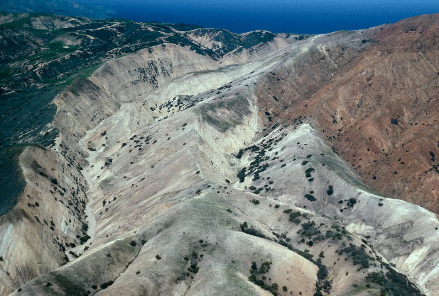 Stanton/Gherini & fenceline, South side, Santa Cruz Island