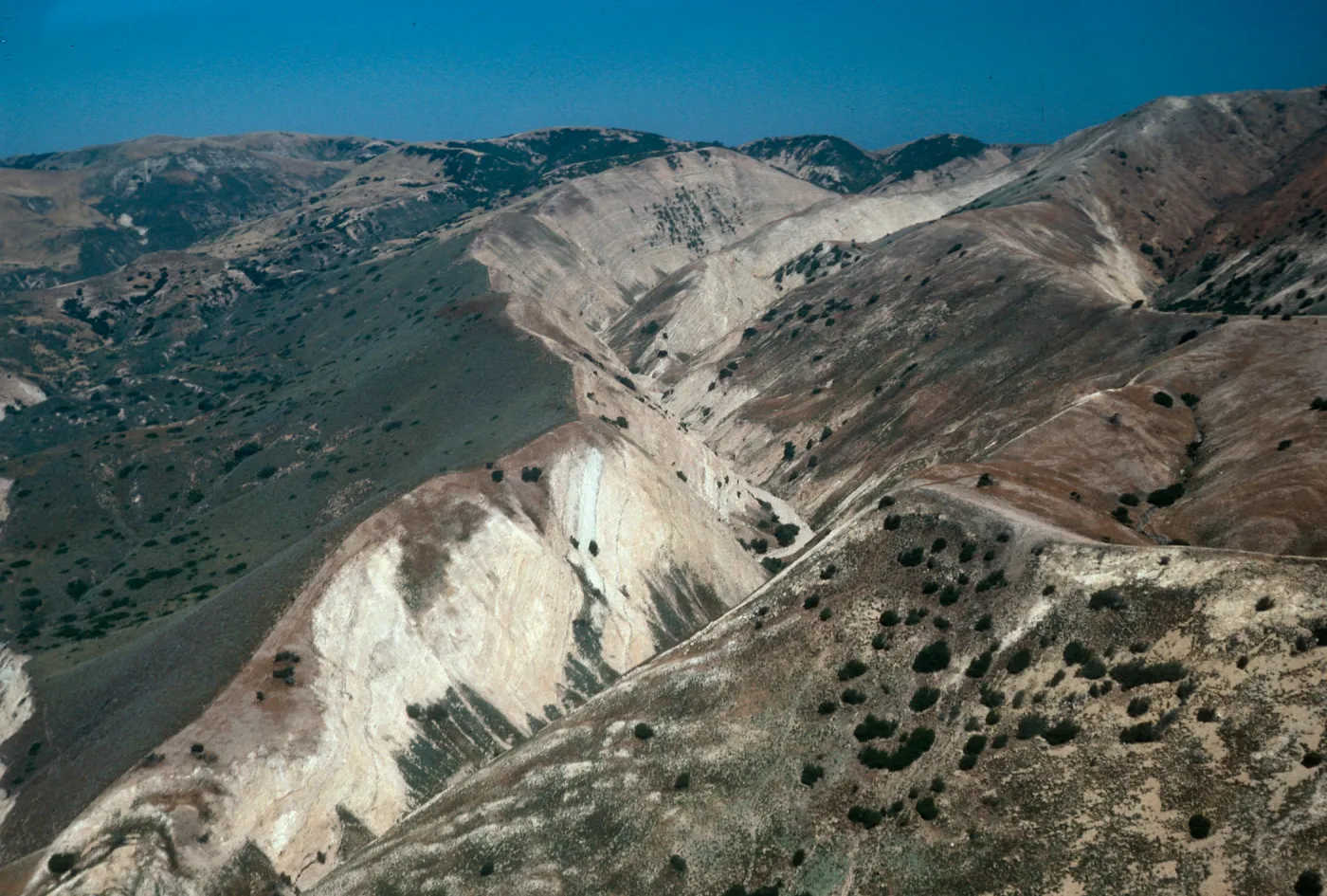 Stanton/Gherini property line, South side, Santa Cruz Island