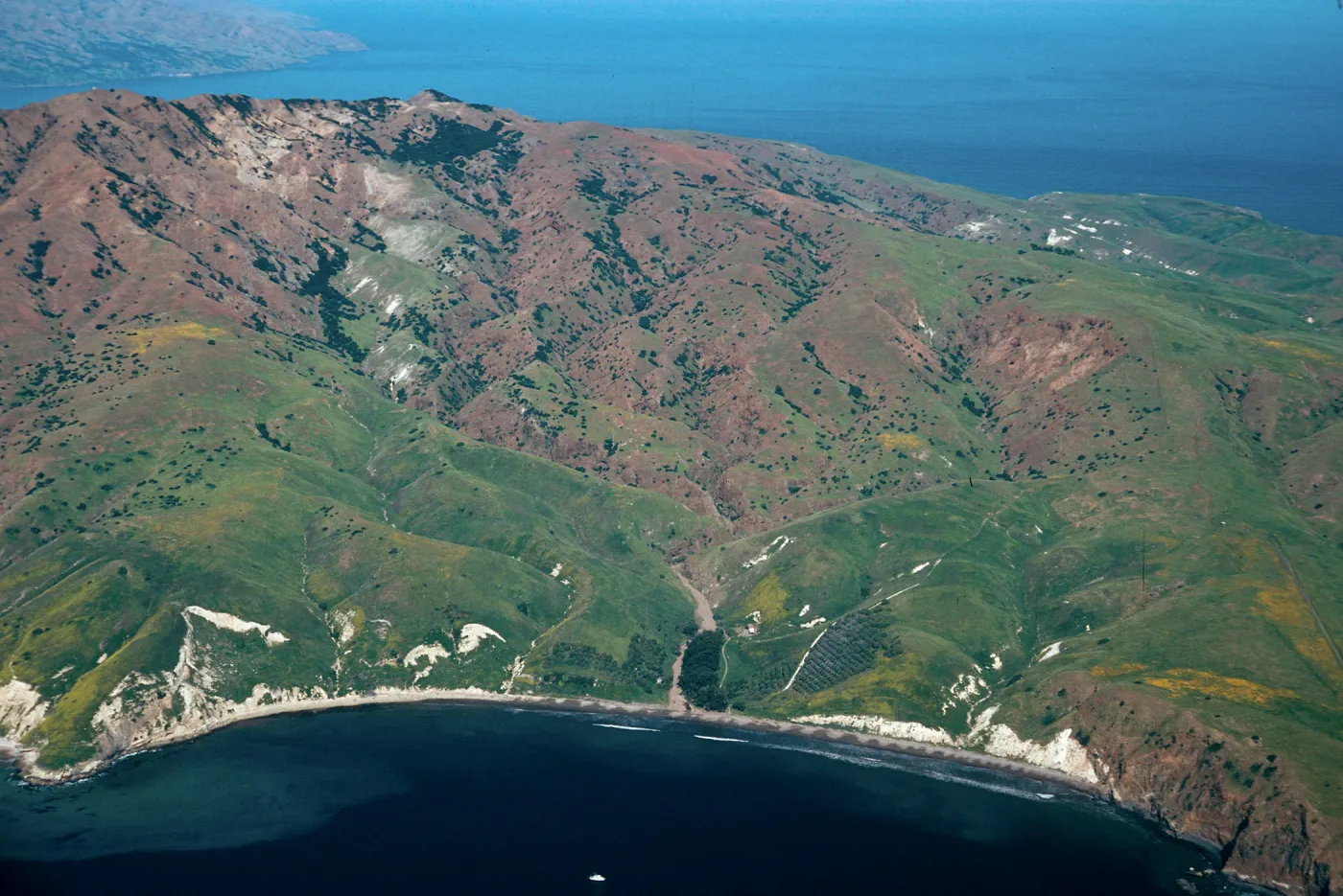 Smugglers Cove, Santa Cruz Island