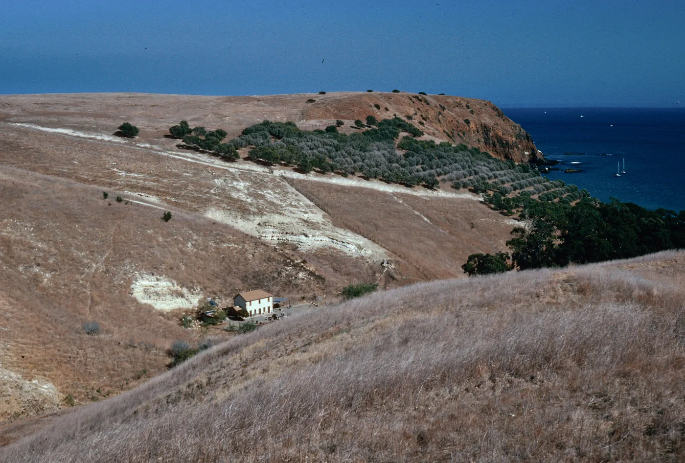 Smugglers Ranch, Santa Cruz Island