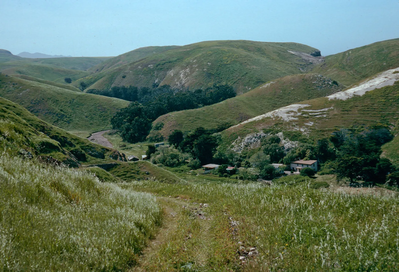 Scorpion Ranch, from road on East side of canyon, Santa Cruz Island
