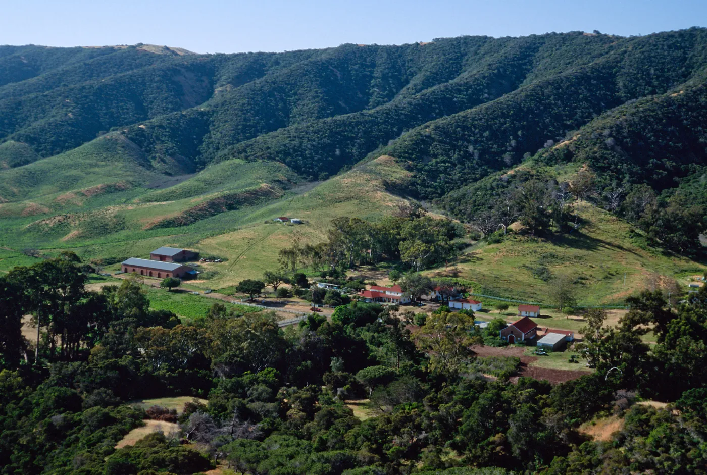 main ranch (Stanton), Santa Cruz Island