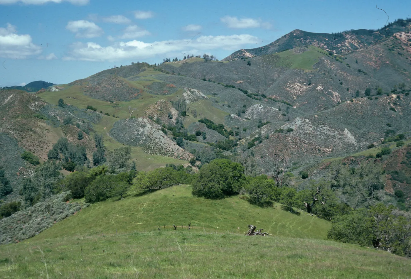Figueroa Mountain Road, looking Northwest, Santa Barbara County