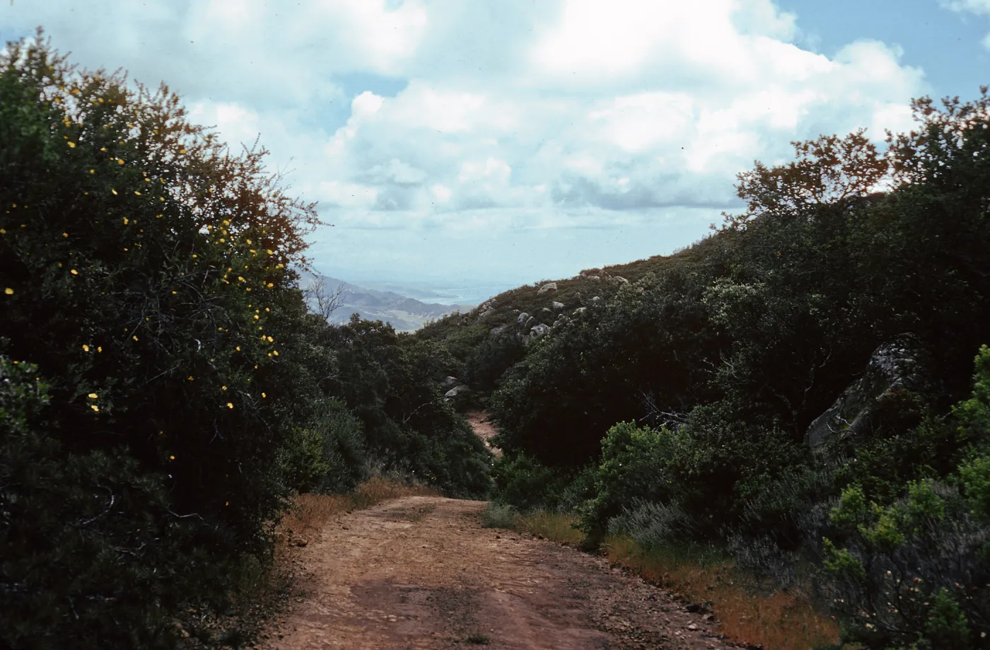 Cresta Road, looking West, Hollister Ranch, Santa Barbara County