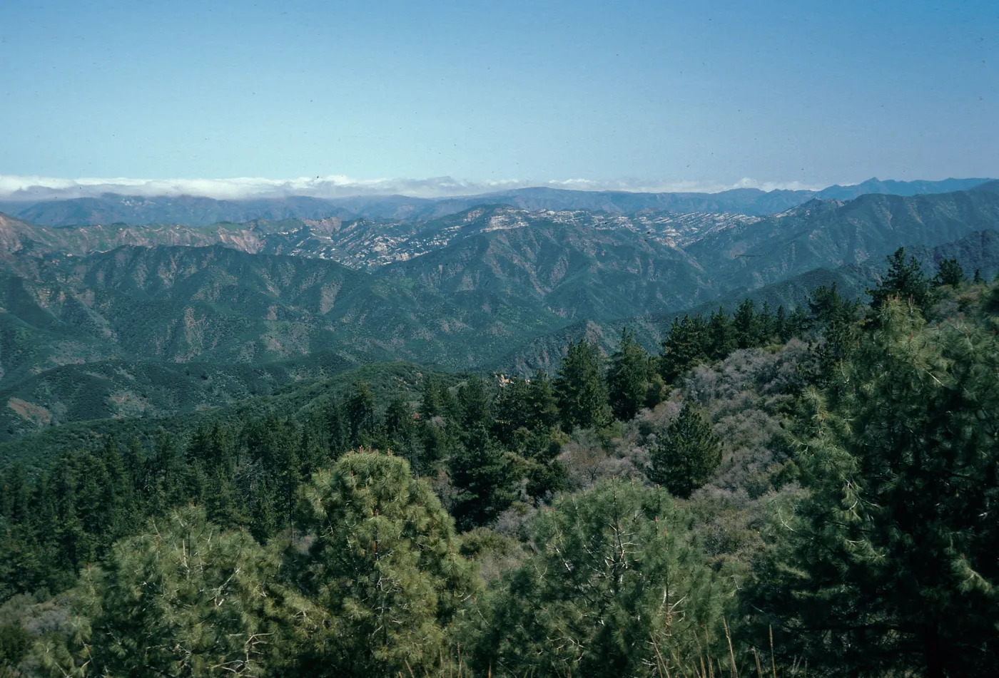 Hurricane Deck from Catway Road, Santa Barbara County