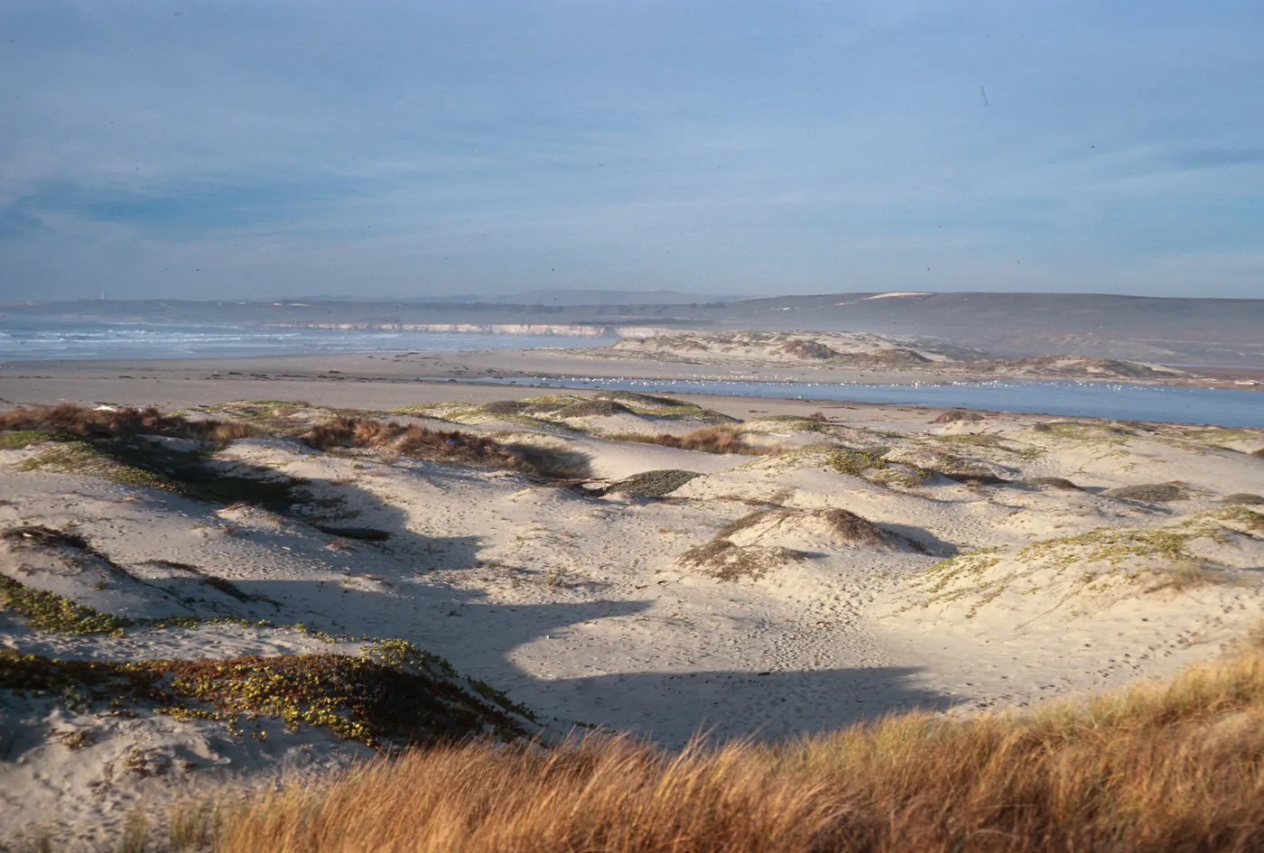 dunes at surf, looking North