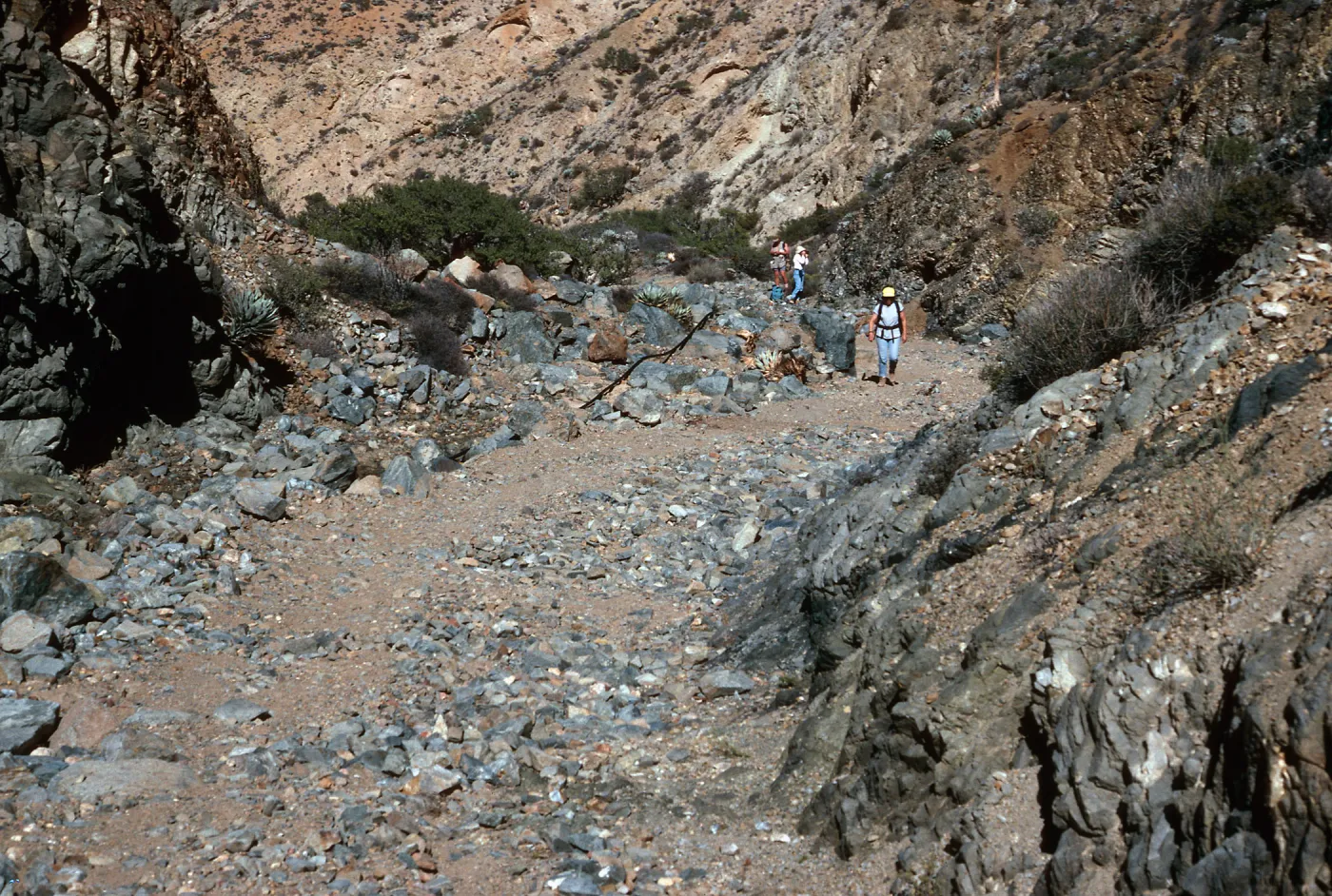 new road, lower Cañon de La Mina, Cedros Island, Baja, Ca.