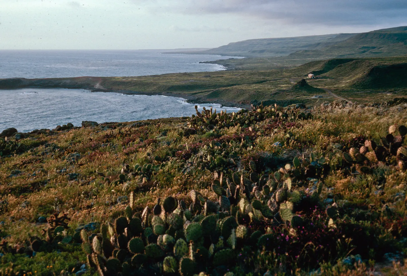 Eel Point, from Eel Coyis Canyon, San Clemente Island