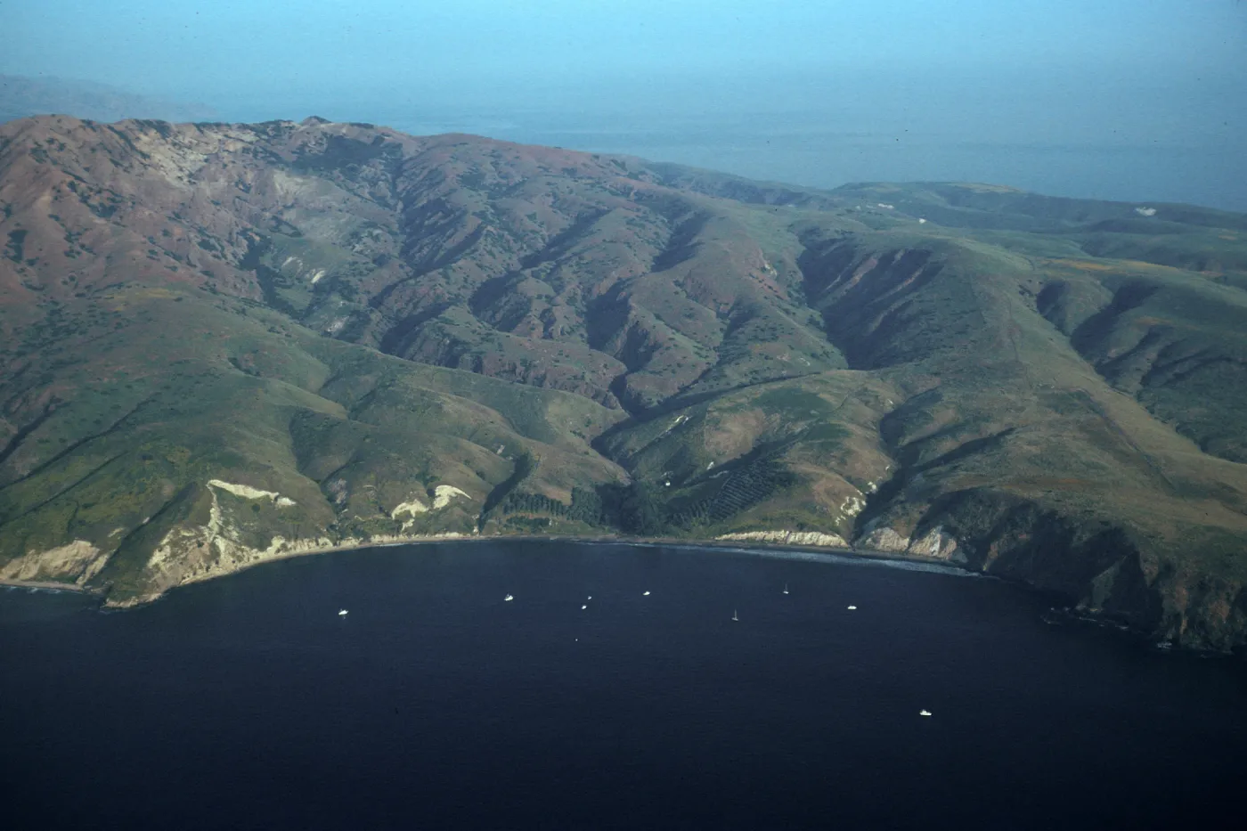 Smugglers Cove, Santa Cruz Island