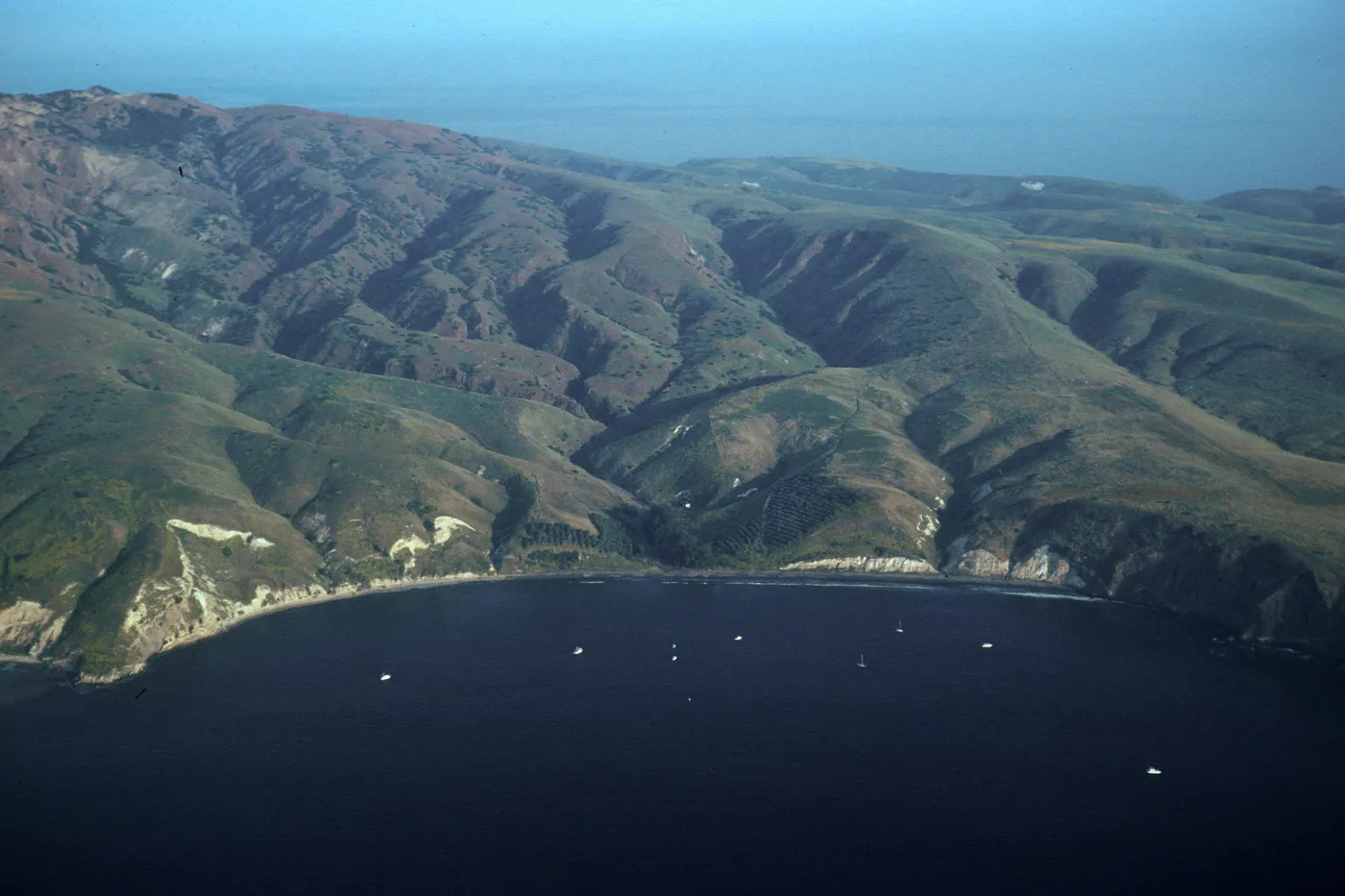 Smugglers Cove, Santa Cruz Island
