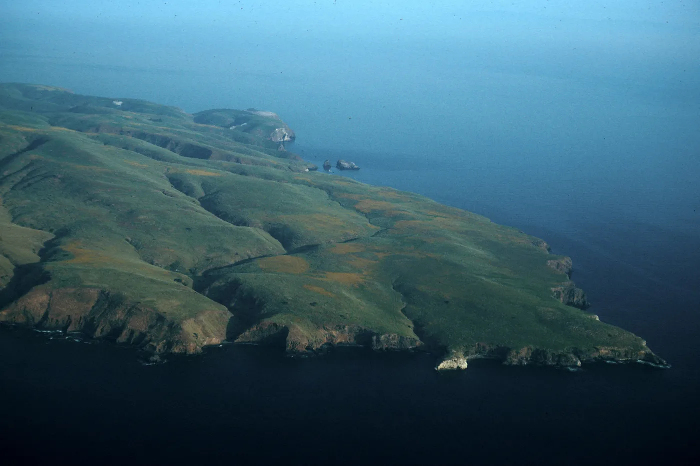 East end, Santa Cruz Island