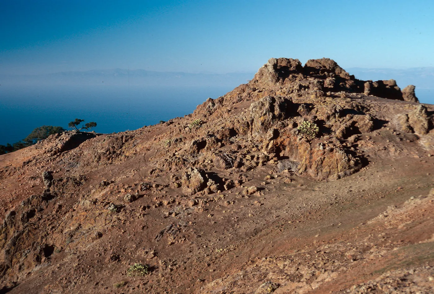 sheep damage, upper Laguna- upper Sauces Canyon- looking North, Santa Cruz Island