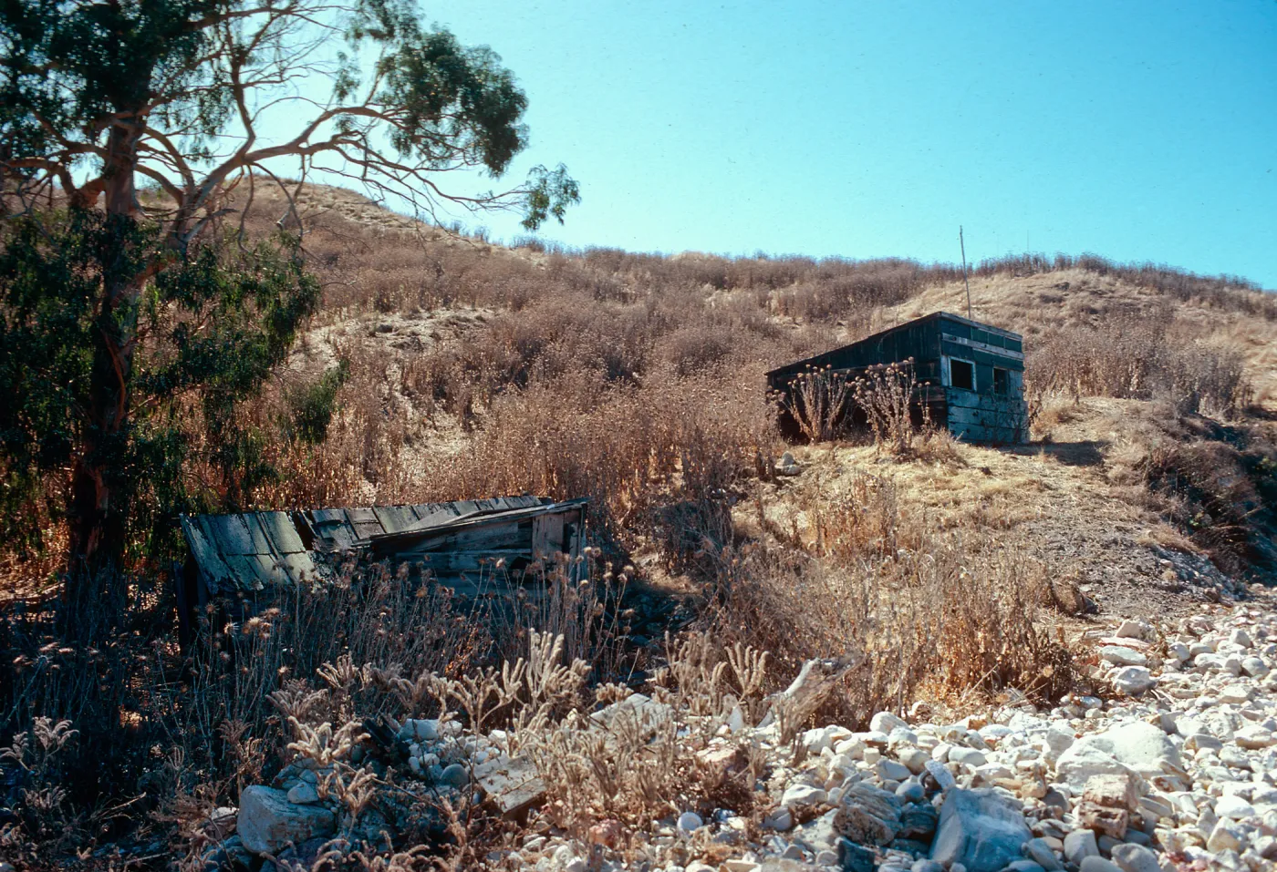 fishing shacks, West end of China Harbor, Santa Cruz Island